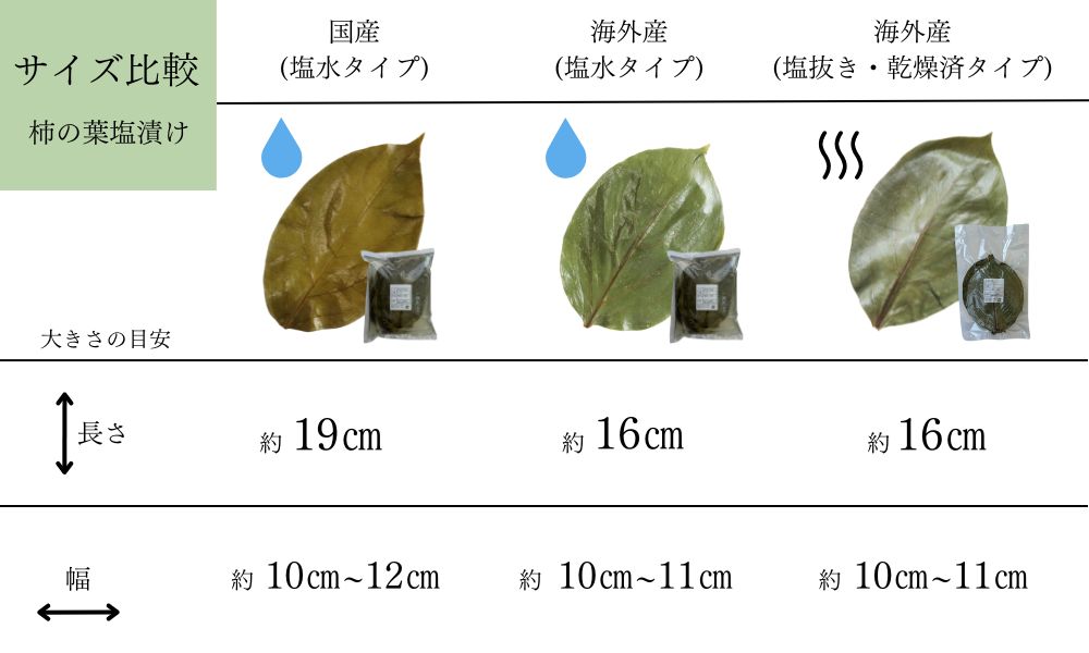 柿の葉塩漬けサイズ　イメージ